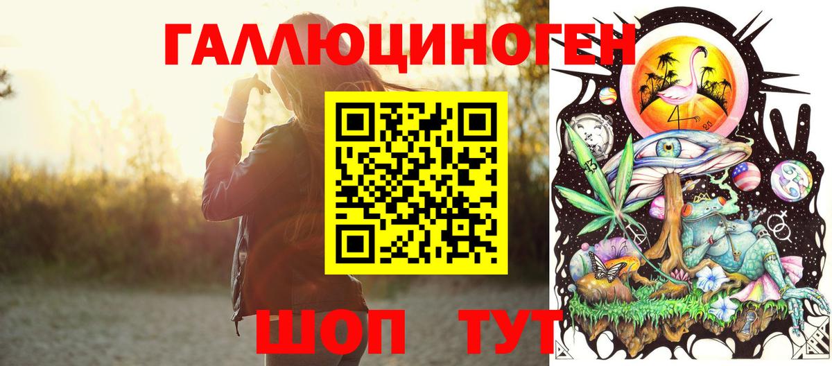 Псилоцибиновые грибы Cubensis Вичуга