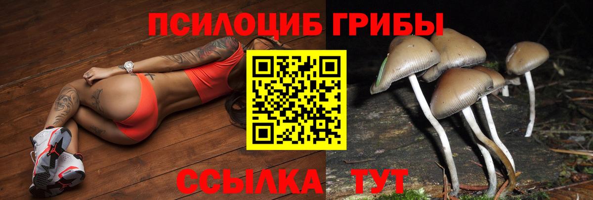 Галлюциногенные грибы MAGIC MUSHROOMS  Галлюциногенные грибы прущие грибы  Вход с VPN  Вичуга 
